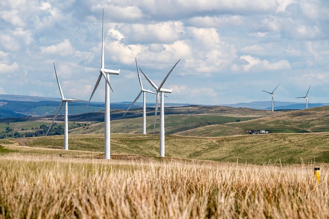 Estas iniciativas reflejan el creciente interés por potenciar el sector de las energías renovables en el país