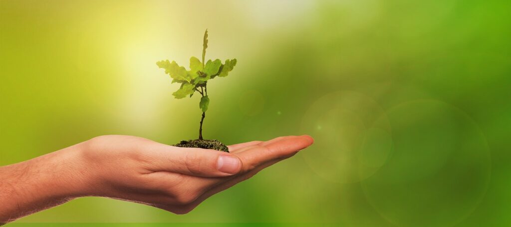 Ecopetrol: primera empresa ancla verde de Colombia