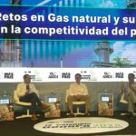 “Petróleo, carbón y  gas soporte de las finanzas públicas” Andi