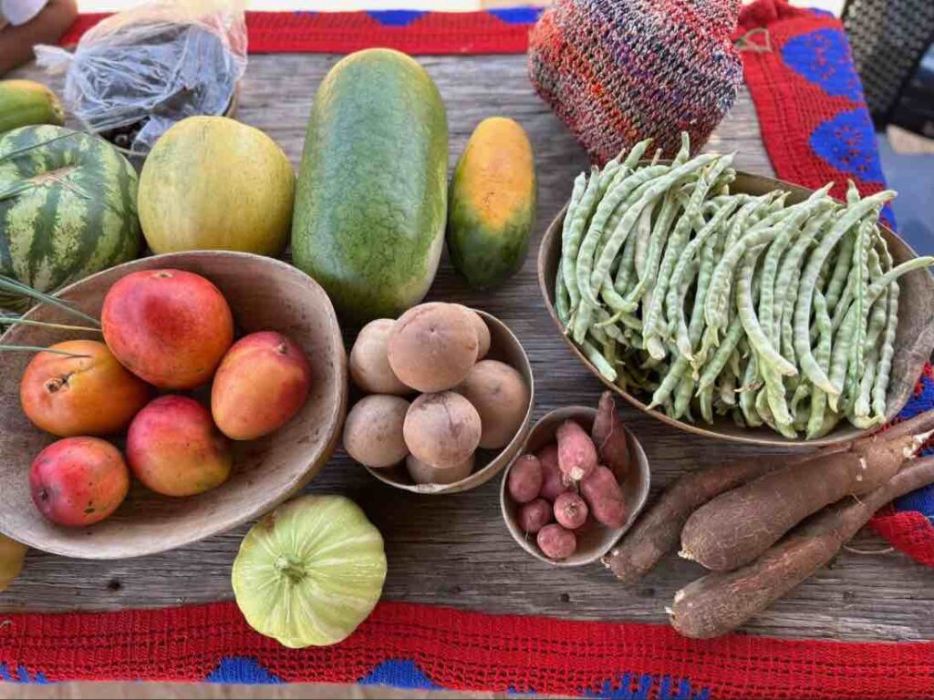 De 1 a 3 comidas diarias: la revolución agroecológica