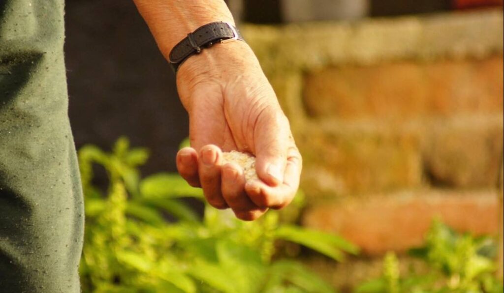 La mira financiera en  emergencia climática