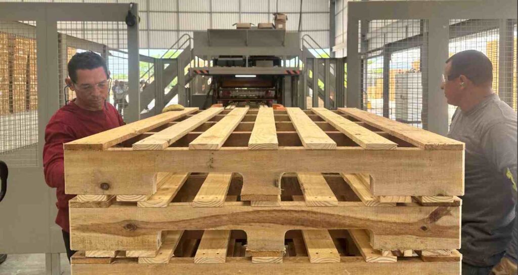 Central de Maderas automatiza su planta en el Caribe y redefine la industria forestal